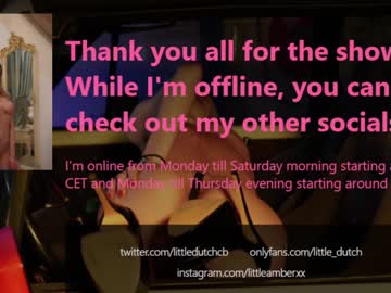 webcam girl little_dutch live cam image #2621051