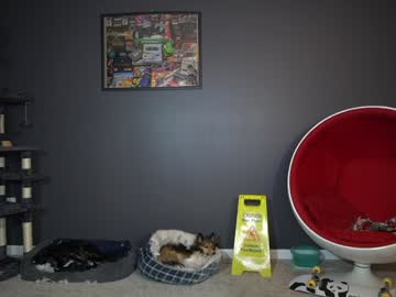 webcam man sydaffect live cam image #11243497