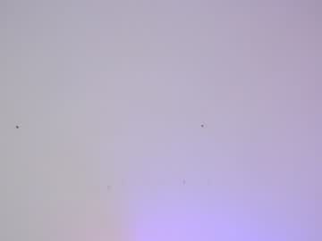 webcam girl sapphirealice live cam image #1964273