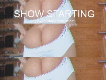 webcam girl ocicat live cam image #3124156