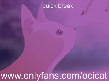 webcam girl ocicat live cam image #3116717