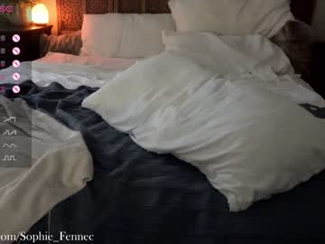 webcam girl sophie_fennec live cam image #7957784