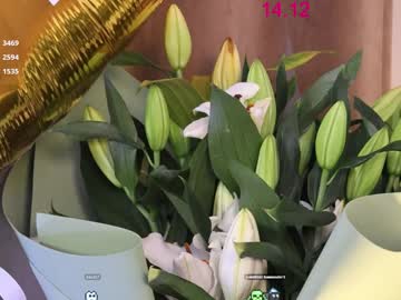 webcam girl lissa_meooow live cam image #11308252
