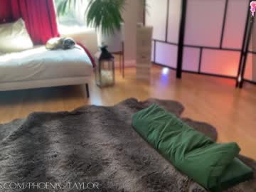 webcam girl phoenix_taylor live cam image #10433184