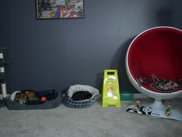 webcam man sydaffect live cam image #11521255