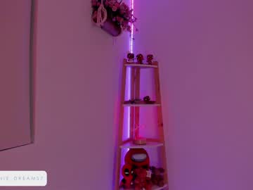 webcam girl annie_dreams live cam image #2532929