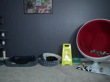 webcam man sydaffect live cam image #11610161