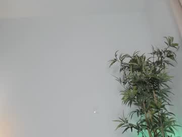 webcam girl angel_danm_milf live cam image #12310059
