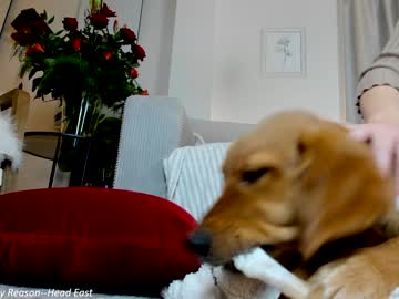webcam girl x_lily_x live cam image #8545184