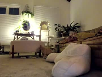 webcam girl pretendlunch live cam image #6363535