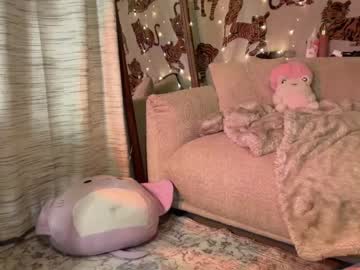 webcam girl ari_02 live cam image #8799918
