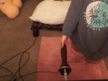webcam girl evelynpiers live cam image #8207620