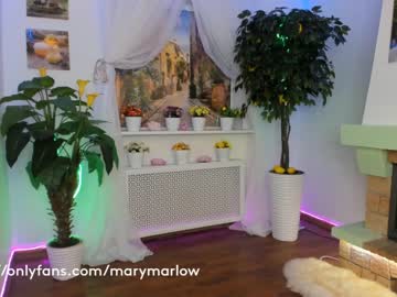 webcam girl mary_marlow live cam image #1246464