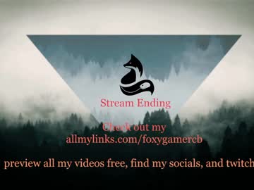 webcam girl foxy_gamer live cam image #5648156