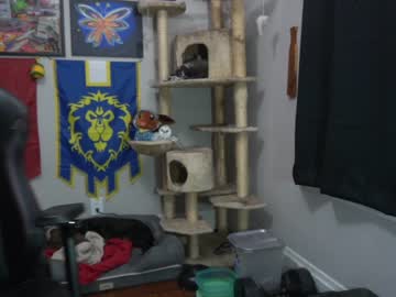 webcam man sydaffect live cam image #3193772