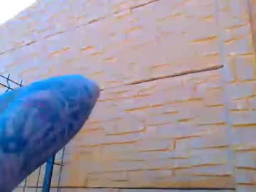 webcam girl lettali live cam image #9100815