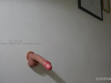 webcam girl shena_nomy live cam image #10740278