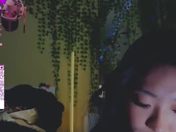 webcam girl bestshygirl live cam image #12294049