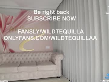 webcam girl wildtequilla live cam image #9374640