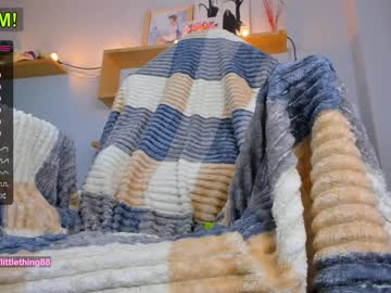 webcam girl littlething88 live cam image #3262334