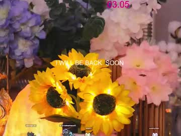 webcam girl lissa_meooow live cam image #12552899