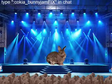 webcam man cokia_ live cam image #12925343