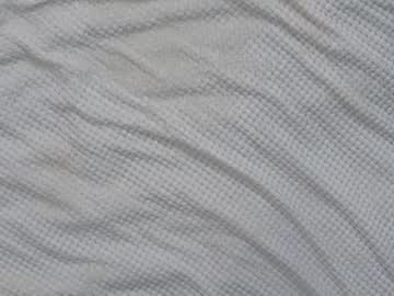 webcam girl shycinderella live cam image #2139239