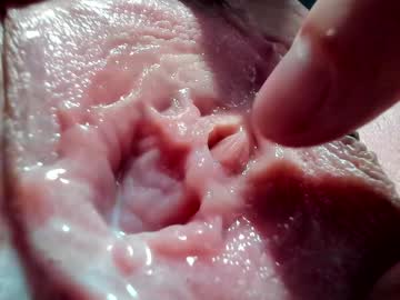 webcam girl courtney_luv live cam image #12643504
