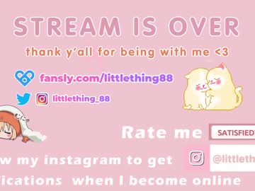 webcam girl littlething88 live cam image #3731605