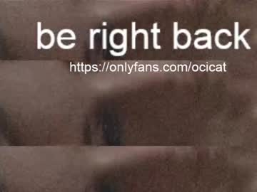 webcam girl ocicat live cam image #3623837