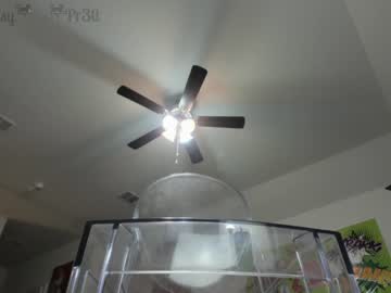 webcam girl pr3ttyp1nkpussy live cam image #1250946