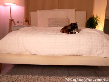 webcam girl blondiekayy live cam image #923545