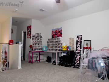 webcam girl pr3ttyp1nkpussy live cam image #1336510