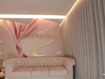 webcam girl wildtequilla live cam image #9885717