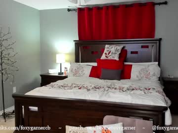 webcam girl foxy_gamer live cam image #274361