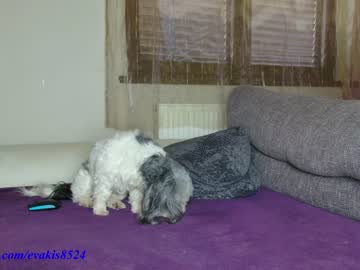 webcam girl pbsteve live cam image #9323504