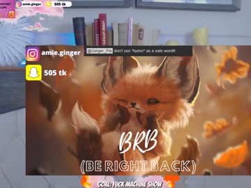 webcam girl ginger_pie live cam image #3556445