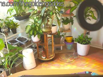 webcam girl goldengoddessxxx live cam image #12144423