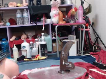 webcam girl animergamergirl live cam image #12459579