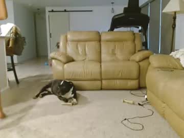 webcam girl dazeydo live cam image #9712264