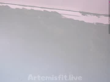 webcam girl artemisfit live cam image #854440
