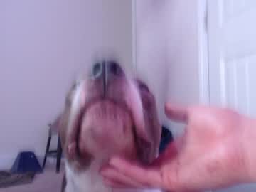webcam girl holihurricane live cam image #4103742