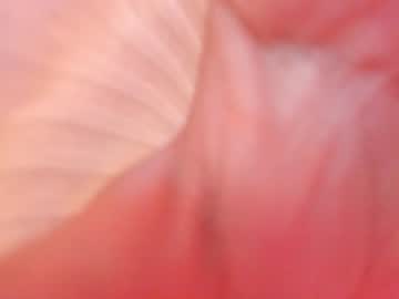 webcam girl akura_01 live cam image #10989206