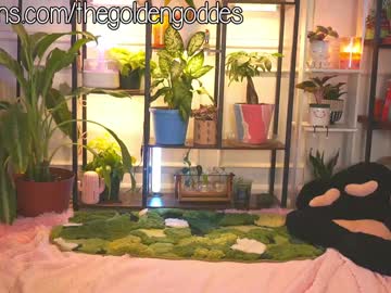 webcam girl goldengoddessxxx live cam image #12557219