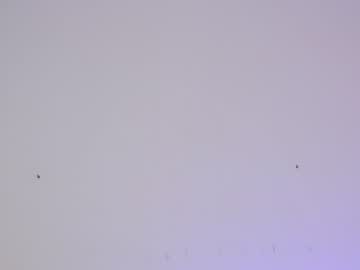 webcam girl sapphirealice live cam image #2779664