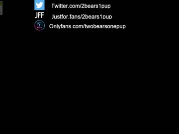 webcam man 2bears1pup live cam image #1882609