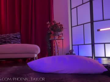 webcam girl phoenix_taylor live cam image #10854845