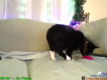 webcam girl aliceriverscam live cam image #2080925