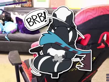 Cam for meepsalot
