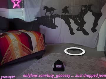 webcam girl lucy_gooosey live cam image #9032296